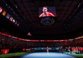 Nadal addressed the crowds in Malaga following Spain's Davis Cup elimination.